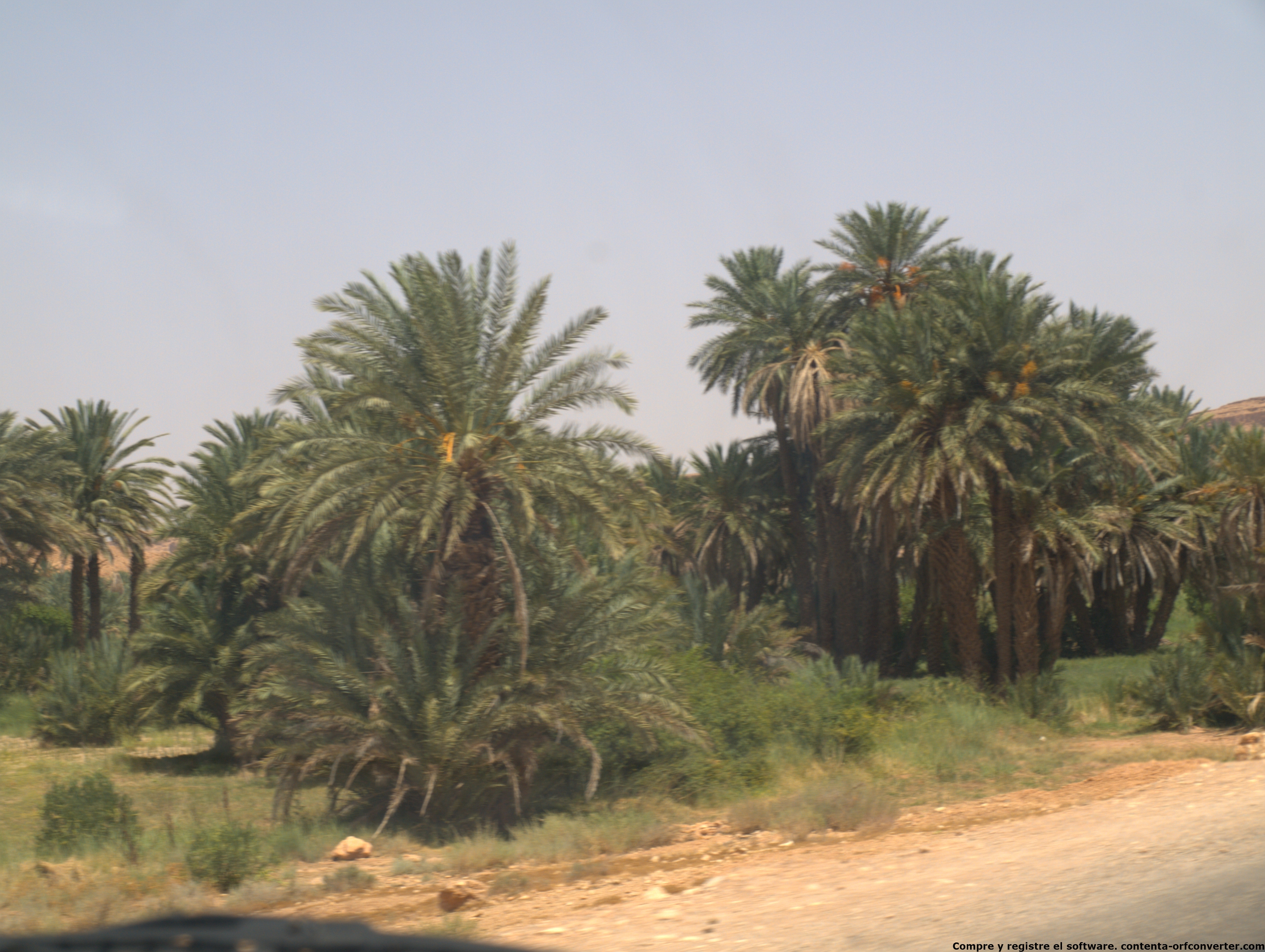 test