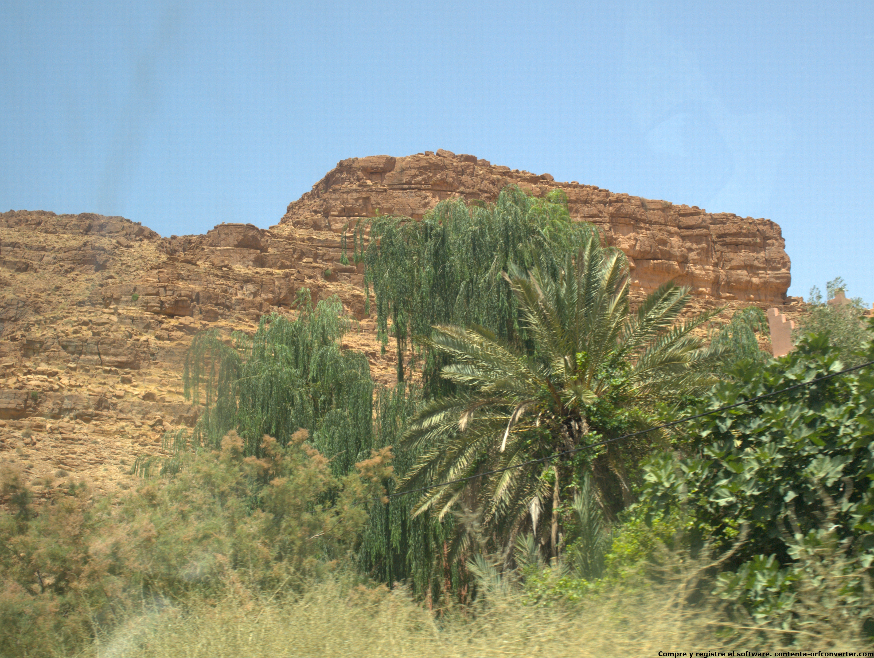 test