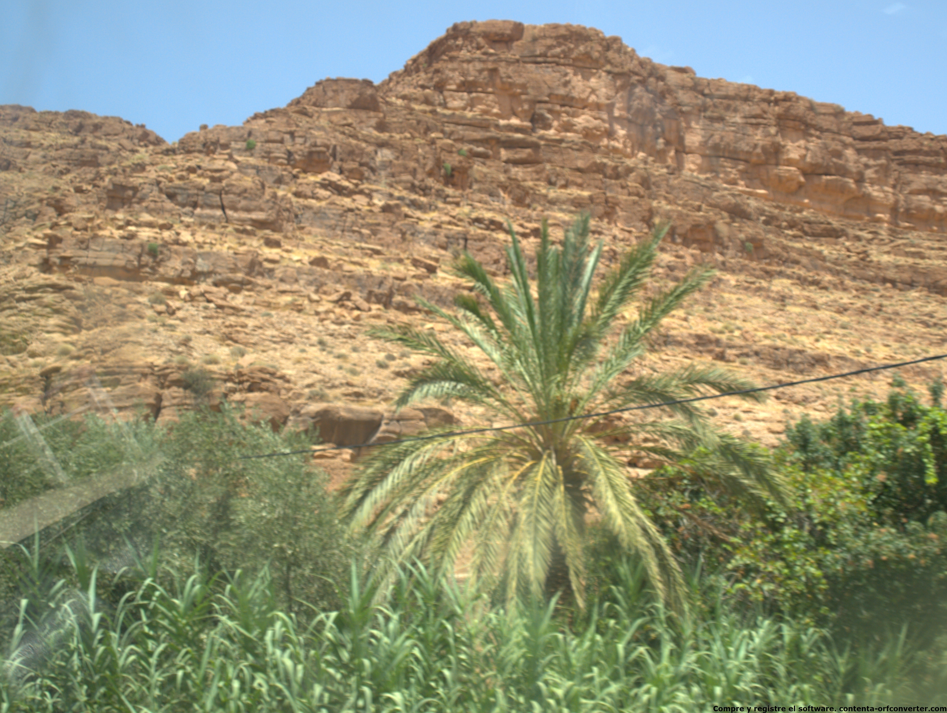 test